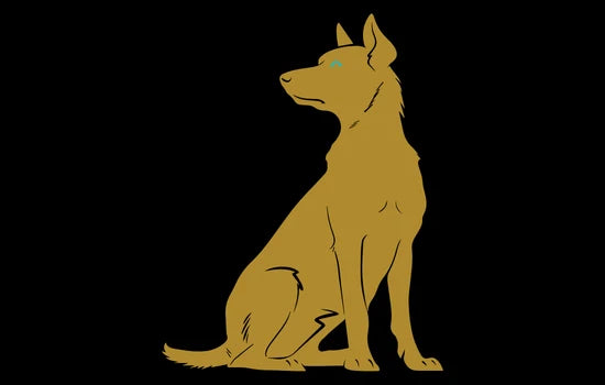 Hundefutter