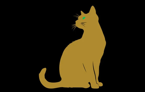 Katzenfutter